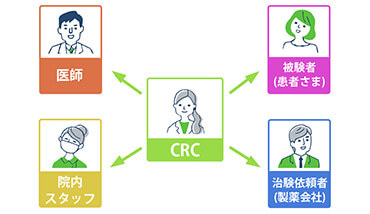 治験コーディネーター（CRC)