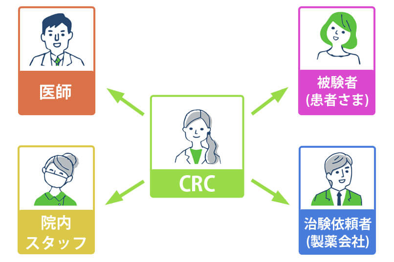 治験コーディネーター（CRC）